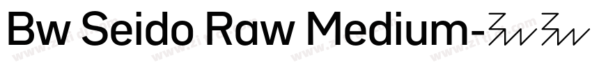 Bw Seido Raw Medium字体转换